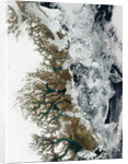 Summer Thaw on the Fringe of Eastern Greenland by Anonymous