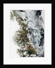 Summer Thaw on the Fringe of Eastern Greenland by Anonymous