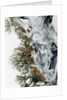 Summer Thaw on the Fringe of Eastern Greenland by Anonymous