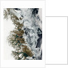 Summer Thaw on the Fringe of Eastern Greenland by Anonymous