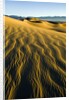 Ripples in Sand by Anonymous