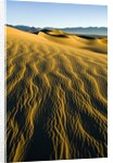Ripples in Sand by Anonymous