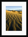 Ripples in Sand by Anonymous