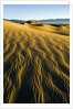 Ripples in Sand by Anonymous