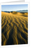 Ripples in Sand by Anonymous