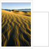Ripples in Sand by Anonymous