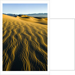 Ripples in Sand by Anonymous