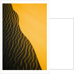 Sand Dune Ridge by Anonymous