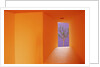 Colorful Architecture in Cabo San Lucas by Anonymous
