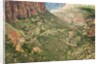 Winding Road in Zion National Park by Anonymous