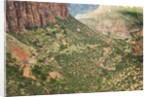 Winding Road in Zion National Park by Anonymous
