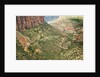 Winding Road in Zion National Park by Anonymous