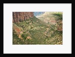 Winding Road in Zion National Park by Anonymous