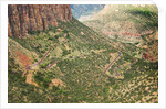 Winding Road in Zion National Park by Anonymous