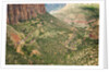 Winding Road in Zion National Park by Anonymous