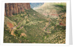 Winding Road in Zion National Park by Anonymous