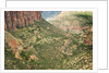 Winding Road in Zion National Park by Anonymous