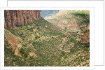 Winding Road in Zion National Park by Anonymous
