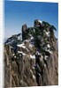 Pine Trees at Top of Yellow Mountains in Spring by Anonymous