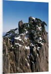 Pine Trees at Top of Yellow Mountains in Spring by Anonymous