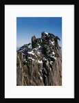 Pine Trees at Top of Yellow Mountains in Spring by Anonymous