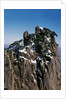 Pine Trees at Top of Yellow Mountains in Spring by Anonymous