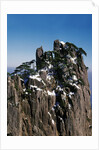 Pine Trees at Top of Yellow Mountains in Spring by Anonymous