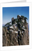 Pine Trees at Top of Yellow Mountains in Spring by Anonymous