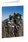 Pine Trees at Top of Yellow Mountains in Spring by Anonymous