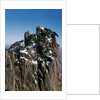 Pine Trees at Top of Yellow Mountains in Spring by Anonymous