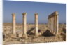 Roman Ruins of Sabratha in Libya by Anonymous