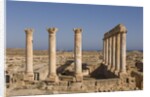 Roman Ruins of Sabratha in Libya by Anonymous
