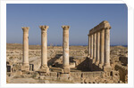 Roman Ruins of Sabratha in Libya by Anonymous
