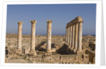 Roman Ruins of Sabratha in Libya by Anonymous