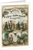Manual of the Corporation of the City of New York by Anonymous