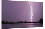 Lightning Striking near Lake by Anonymous