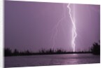 Lightning Striking near Lake by Corbis