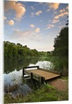 Pier on Cannop Ponds by Anonymous