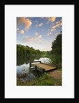 Pier on Cannop Ponds by Anonymous