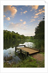 Pier on Cannop Ponds by Anonymous