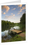 Pier on Cannop Ponds by Anonymous