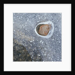 Rock in a Frozen River by Anonymous