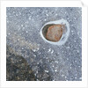 Rock in a Frozen River by Anonymous