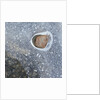Rock in a Frozen River by Anonymous