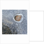 Rock in a Frozen River by Anonymous