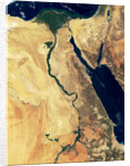 Nile River in Egypt and the Sinai Peninsula by Anonymous