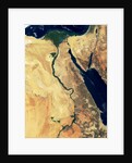 Nile River in Egypt and the Sinai Peninsula by Anonymous