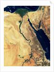 Nile River in Egypt and the Sinai Peninsula by Anonymous