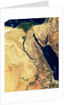 Nile River in Egypt and the Sinai Peninsula by Anonymous