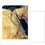 Nile River in Egypt and the Sinai Peninsula by Anonymous